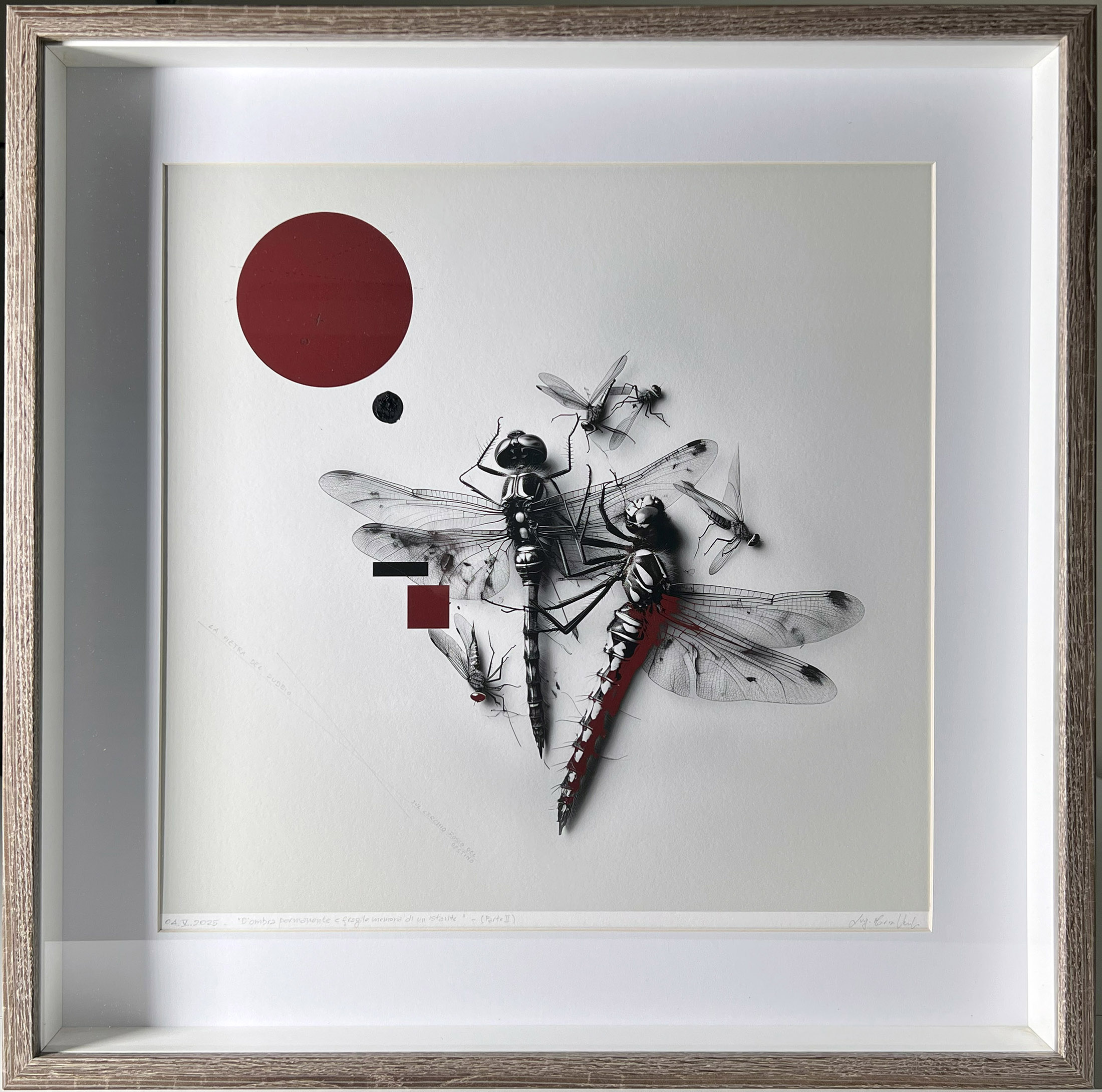 Of permanent shadow and the fragile memory of an instant 2/2